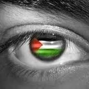 LiveBeasto's profile picture. Every Muslim Countries Allah Will Ask Everyone