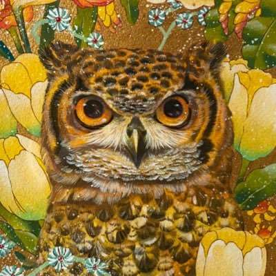 アフリカワシミミズクのぽーちゃんことぽっぽの写真と動画を垂れ流すじゃなかった記録するよ/お迎え2020.4.18/2020.2.1生/女の子⚠️無断転載使用禁止 all rights reserved. #アフリカワシミミズク #ふくろう #SpottedEagleowl アイコン元絵は高津ゆいさん@4t1k2t3