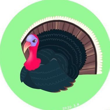 なでみぃ🦃@🐣ズを愛しすぎて黙々とイラストを生産する工作おじさんのおかりなさんのプロフィール画像
