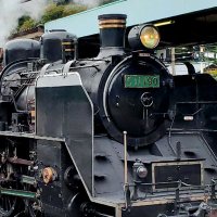 SPC (@spc_train) 's Twitter Profile