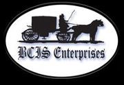At BCIS Enterprises we are committed to providing affordable web development.  Our packages include design, hosting, maintenance and much more.
