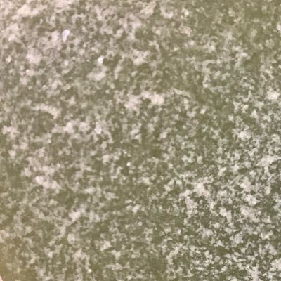 タイツ履いてもどらないまっちゃあじさんのプロフィール画像