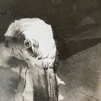 さら さくら (@saksak_art) 's Twitter Profile
