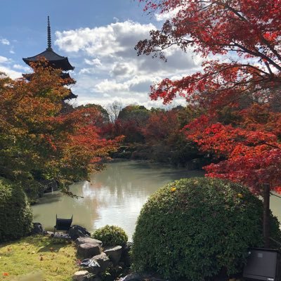 1ypIv's profile picture. 