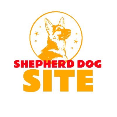Discover all the information you need to know about shepherd dogs. From health and nutrition tips to training advice, this site has it all. Get the most out of