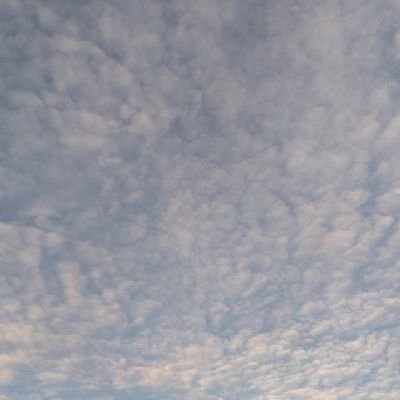 cipppsi's profile picture. BISMILLAH PTN 2023
ALHAMDULILAH PTN 2023 FR
semigap ga ya? :*/