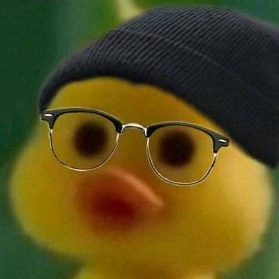 ลูกเป็ด 7% ୧⍤⃝🦆¹¹さんのプロフィール画像