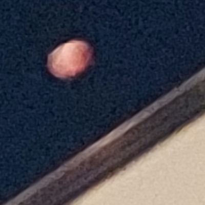 115PAPopaPO3131's profile picture. そこに愛はあるんか？