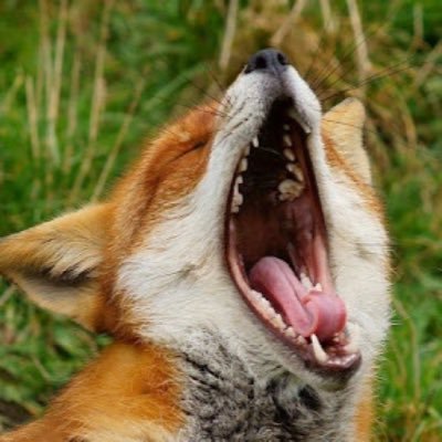 ゆっか工場長さんのプロフィール画像