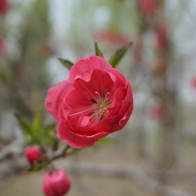 chbh8's profile picture. 音樂 影視 新聞時事 名人 生活