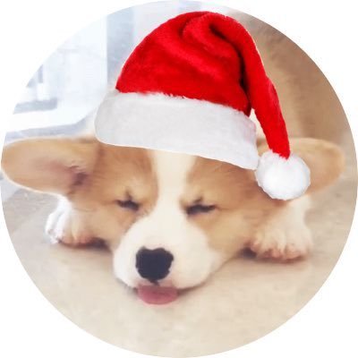 火考花枝🐹さんのプロフィール画像