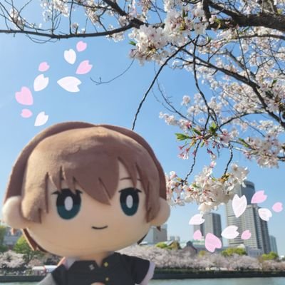 ひ か り🌸さんのプロフィール画像