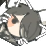 배프さんのプロフィール画像