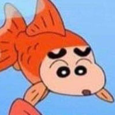 🌊🦐🐠쏭🐬🐙🌊さんのプロフィール画像