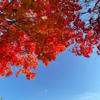 raz 🇫🇷 (@raziahh_) 's Twitter Profile Photo