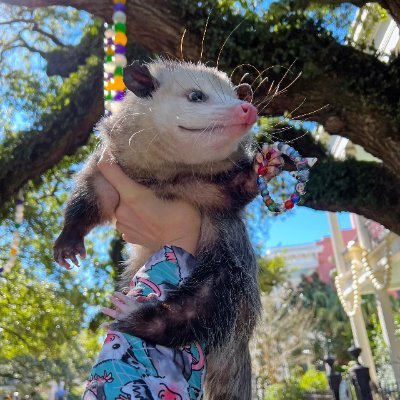 forkliftdriver9's profile picture. 