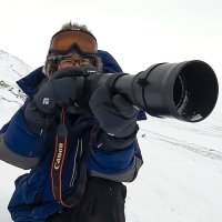 林祐介 自然写真家 / Youtube33000人 (@ratok_7) Twitter profile photo