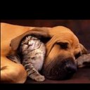 Serena Diamond - @LifeLuvBySerena - Twitter