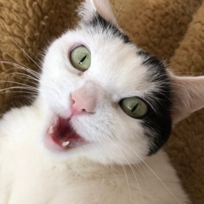 りーさんさんのプロフィール画像
