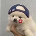 굿 (@tibizigood) Twitter profile photo 굿 (@tibizigood) Twitter profile photo