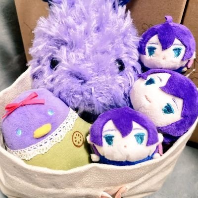 藤原妃菜さんのプロフィール画像