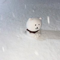 こん (@shlyhn__) 's Twitter Profile