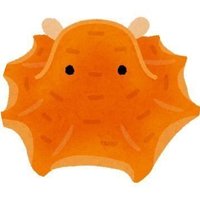 たこし (@takoshiiiiiiiii) 's Twitter Profile