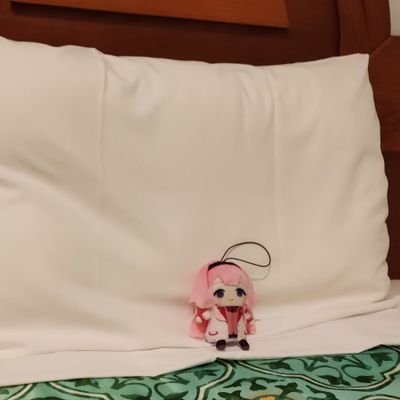 tyumetyumetyume's profile picture. 國 法律専門 4年