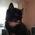 Doris McFlurry (@tiredmama1931) Twitter profile photo Doris McFlurry (@tiredmama1931) Twitter profile photo
