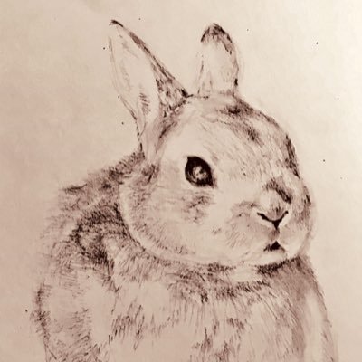 さえさんのプロフィール画像