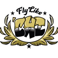 Fly Like Chi(@FlyLikeChiOrg) 's Twitter Profile Photo