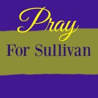 Sullivan HS Volleyball(@SHSArrowsVB) 's Twitter Profile Photo