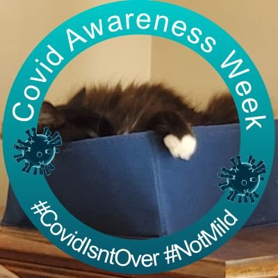 Software developer. Scientist. Researcher (retired). Obsessed w/ #IAQ since 2018. Data junkie. 10th man.
#CovidIsNotOver 🇺🇦
(Cats are Smokey & Bandit)