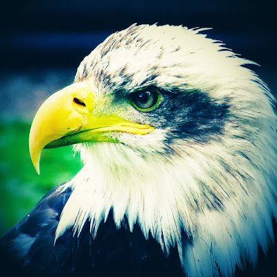 Mohamed890920's profile picture. 