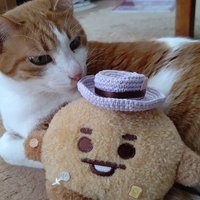 ใฒใใฟ๐ฑ๐๏ธ๐ค๐ถ๐ฦ-ฦAY (@hir_yoon_omi) 's Twitter Profile