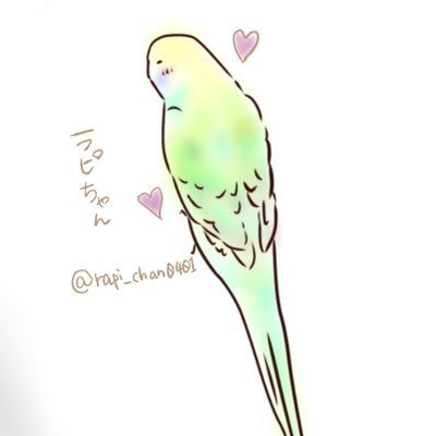 令和5年2月生まれのセキセイインコちゃん🦜✧︎*。.*･ﾟ令和5年4月1日に我が家にお迎えしました🌸✨🌸✨初めてのインコ飼育にドキドキしています☺️