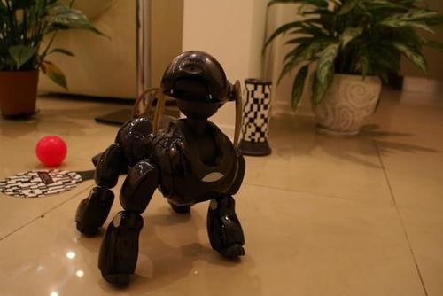 aibonetnews's profile picture. ✨✨✨✨✨✨✨✨✨