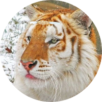 귀람 (@rabid_w) 's Twitter Profile Photo 귀람 (@rabid_w) 's Twitter Profile Photo