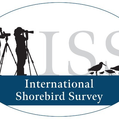 Dedicated Birder & Shorebirder
North America Coordinator #InternationalShorebirdSurvey
#CitizenScience
@ManometCenter @WomenInSteppe 
https://t.co/HGmBOU4w27