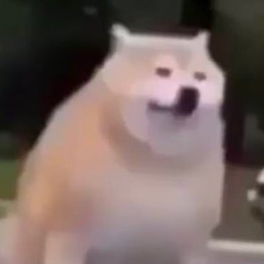 krokoless's profile picture. hello!