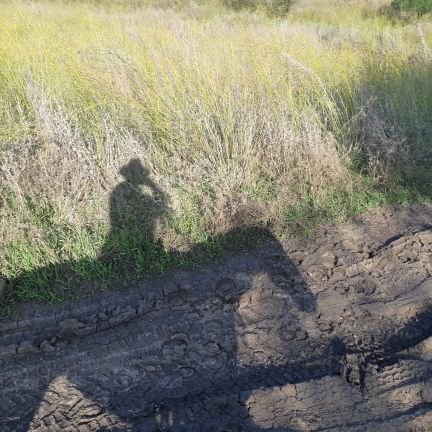 ימני מפוכח שהיה בעברו מרכז שמאל אוהב את הארץ וחרד לגורלה