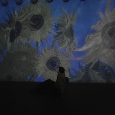 reyrhn's profile picture. 