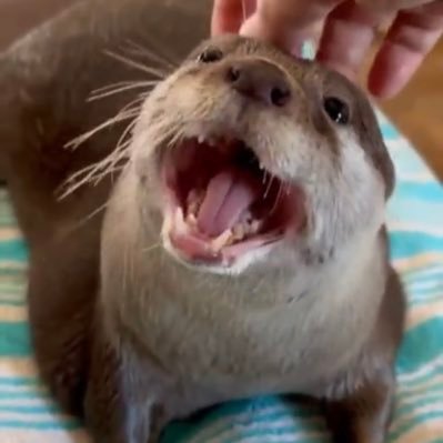 EO_isendgame's profile picture. she/her str8 Love marvel, coding, basketball, and law and order SVU and OC fan acc