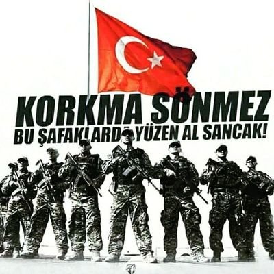 ▄︻┻═┳一
Malazgirt'te Alpaslan'ın dilinde,
Surlarda Ulubatlı'nın elinde,
Çanakkale cihadının yılında;
Zemin kan kırmızı, ayyıldızı ak,