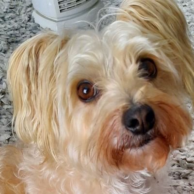 AnitaDavies12's profile picture. 