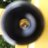 pjnik9's profile image