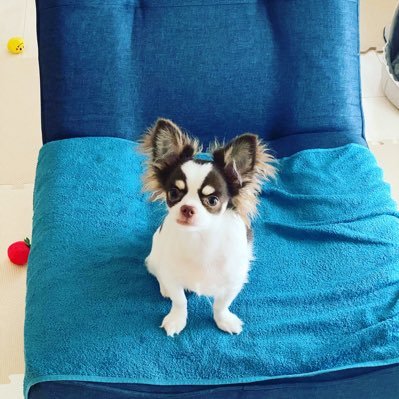 ragunalula's profile picture. よろぴく