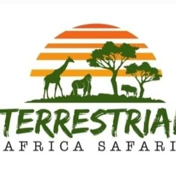 TAFSAFARISA's profile picture. TOUR AND TRAVEL COMPANY BASED IN UGANDA
https://t.co/kKJFTa8UPB

https://t.co/1LelJNwdUf

https://t.co/3MUSQ1z4lc
+256784615876