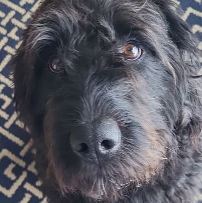 thefitz0's profile picture. 