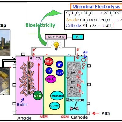 ANWARKHAN2163's profile picture. Metabolic regulation microbial biomass growth with dosing of organics 
(Microbial electrolytes Battery)